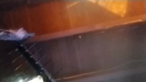 Meetmyfreak online show from 02.14.25