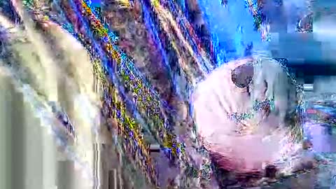 jcfoxx0920 online show from 10.03.25