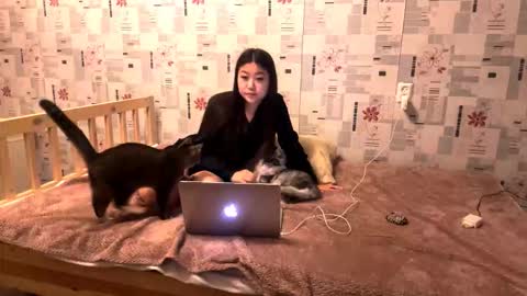 jeannettavidro online show from 11.18.25