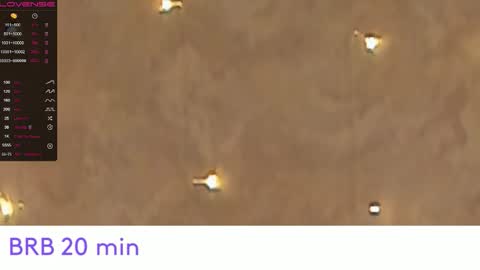 EvaSileZ online show from 10.17.25