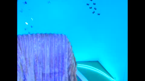 Jennifer online show from 02.11.26