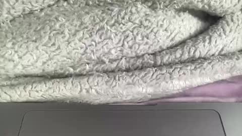 Snapshot of jerking1981 chatting on 01.01.25 jerking1981 online show from 01.01.25