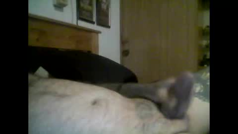 jerkmate6666 online show from 09.16.25