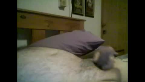 jerkmate6666 online show from 10.14.25