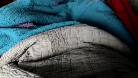 Snapshot of jerswill chatting on 12.25.24 Jeremys room chill and puff one enjoy online show from 12.25.24