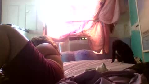 dovedianna online show from 07.01.26
