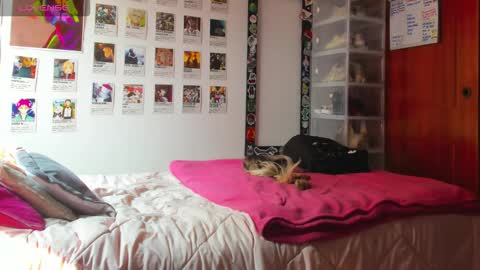 Your Sweet Angel online show from 02.12.26