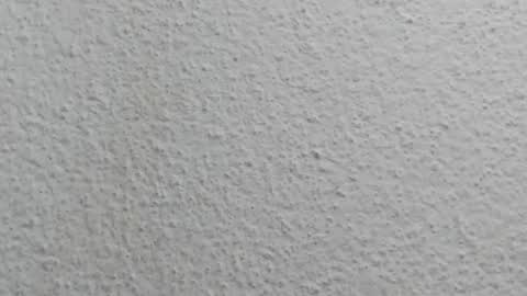 JESSY CORTES online show from 04.12.26