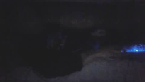 jetjon762844 online show from 02.09.26