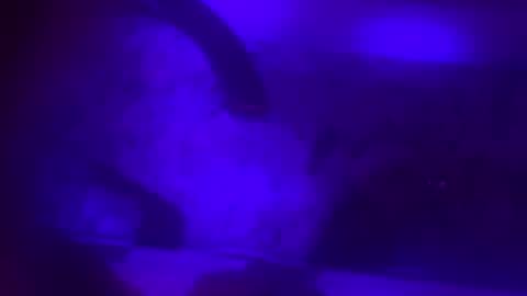 Jessica online show from 02.08.25