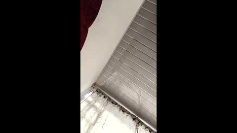 jhf1216 online show from 04.19.26