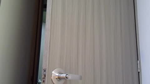   online show from 03.03.26