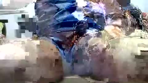 jimii281 online show from 03.25.26