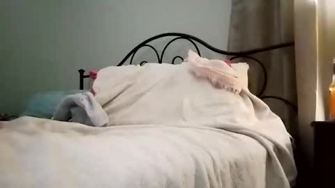 Snapshot of jimz169 chatting on 01.04.25 Jimz14u online show from 01.04.25