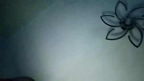 Snapshot of jimz169 chatting on 01.19.25 Jimz14u online show from 01.19.25