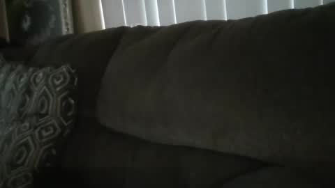 jj350ss online show from 12.02.24