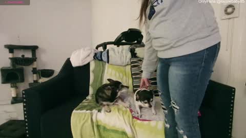 Snapshot of jjjust4fun1985 chatting on 12.15.24 Nicole Allen online show from 12.15.24