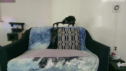 Snapshot of jjjust4fun1985 chatting on 12.22.24 Nicole Allen online show from 12.22.24