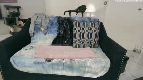 Snapshot of jjjust4fun1985 chatting on 01.02.25 Nicole Allen online show from 01.02.25