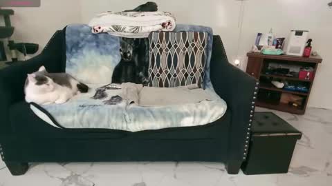 Snapshot of jjjust4fun1985 chatting on 02.13.25 Nicole Allen online show from 02.13.25