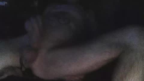 jjohnathan529 online show from 02.24.25