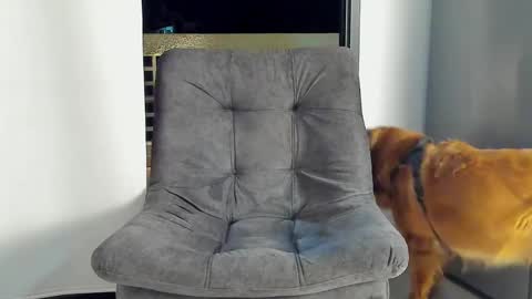 JOAN SAENZ online show from 01.09.25