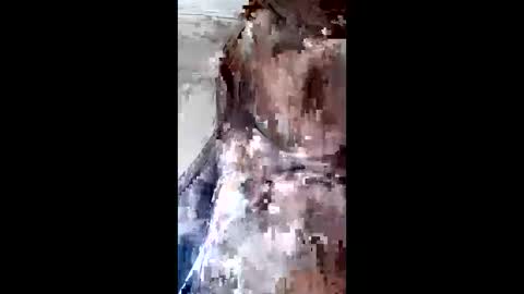 johan3084 online show from 04.09.26