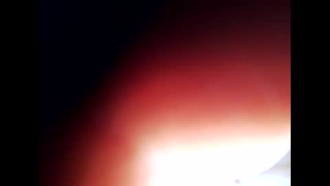 johnlong25cm online show from 12.24.24