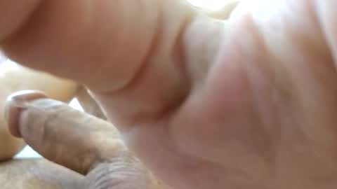 johnnnn2331 online show from 11.18.25