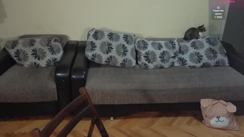 Johnny online show from 12.14.24