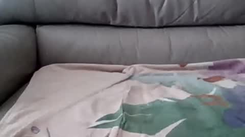 bigger than some online show from 03.05.25