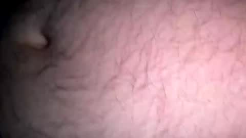 Snapshot of jokapirate43 chatting on 11.14.25 jokapirate43 online show from 11.14.25