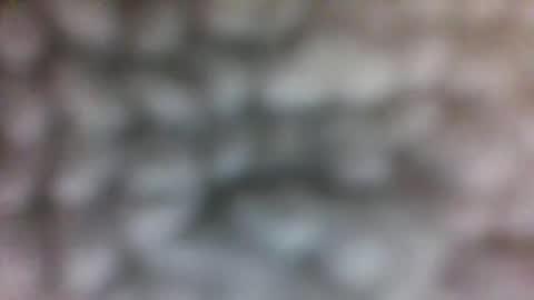 Snapshot of jokersluck chatting on 11.11.25 Jlucky online show from 11.11.25