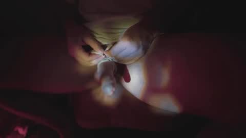 jonahshyfap online show from 01.09.25