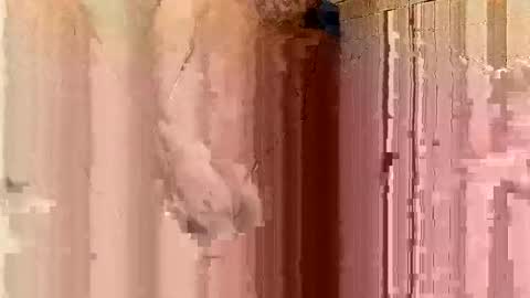 jonathanrossmyers858 online show from 01.21.25