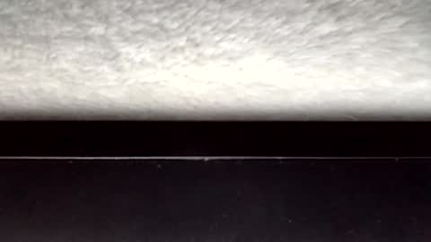 John loves pussy online show from 03.31.26