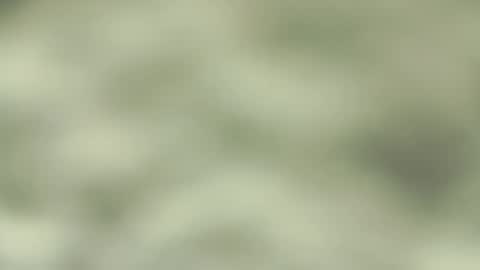 Jorge San online show from 03.09.25