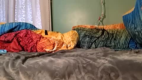 Snapshot of jorjina_x_mckie chatting on 01.09.25 jorjina_x_mckie online show from 01.09.25