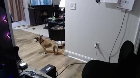 Josef online show from 01.15.26