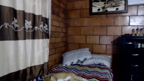 Snapshot of joseph_fit chatting on 11.10.25 joseph online show from 11.10.25