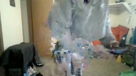 sissy josphine online show from 03.03.26