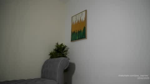 Joss  online show from 02.25.25