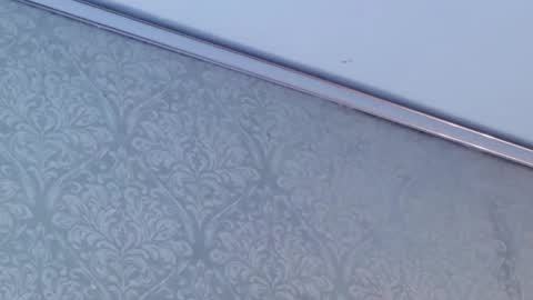 juanita online show from 02.12.26