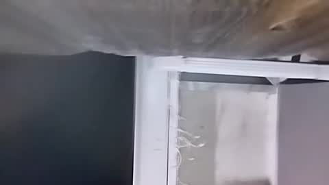 Carlos online show from 12.09.24