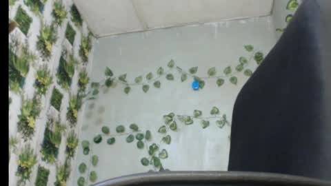 Mariagold online show from 02.13.25