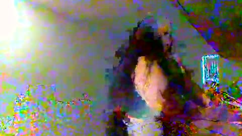 juicylatinabbw online show from 02.20.26