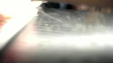 Den  online show from 03.23.26