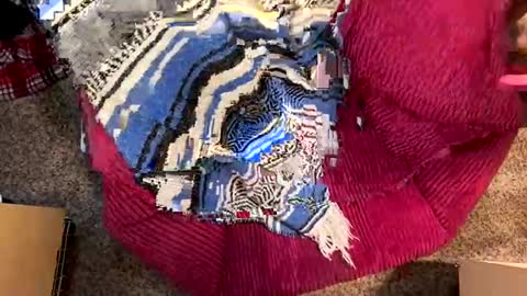 Juish5521 online show from 12.29.24