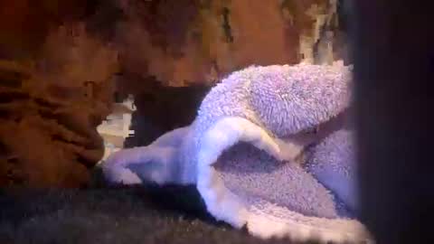 Juish5521 online show from 03.06.25