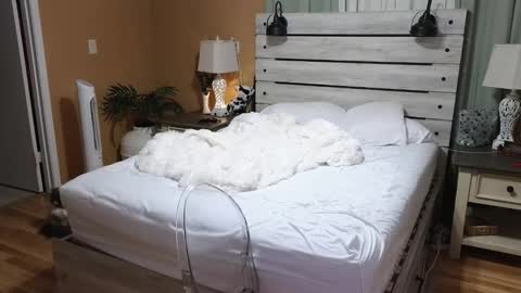 Texas Mamasita online show from 12.23.25